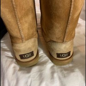 UGG Chestnut Boots